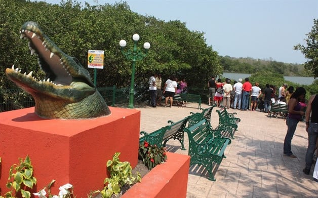 Mirador de Cocodrilos 1